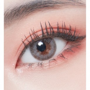 Lighly Lily Gray(日拋)